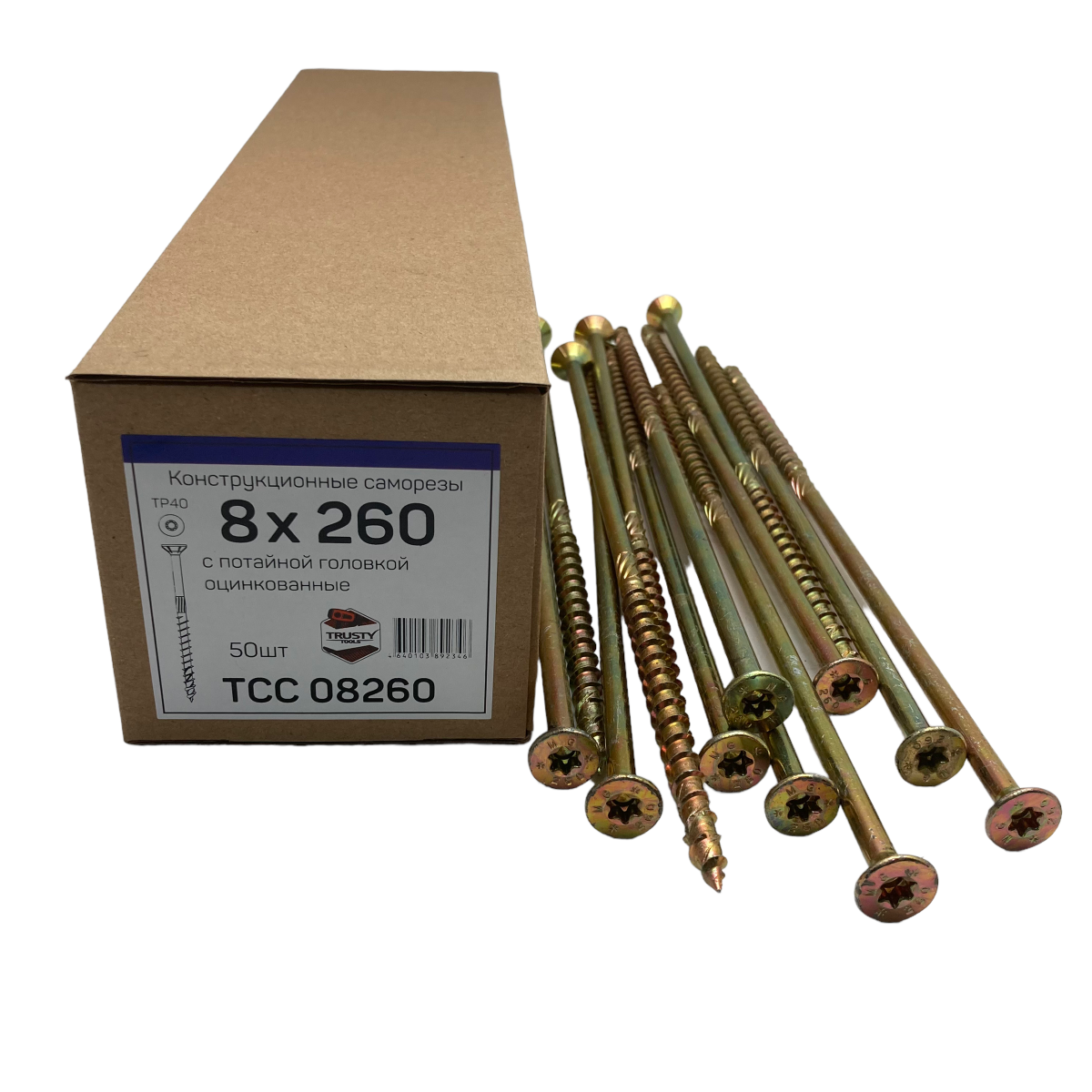 TCC08260
